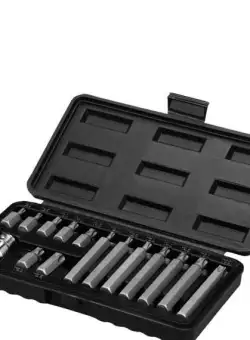 Set de biti torx Wert 2243, 15 bucati