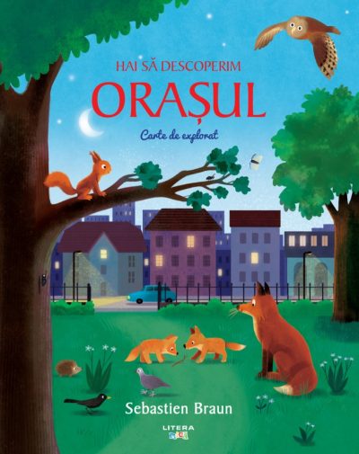 Hai sa descoperim orasul. Carte de explorat